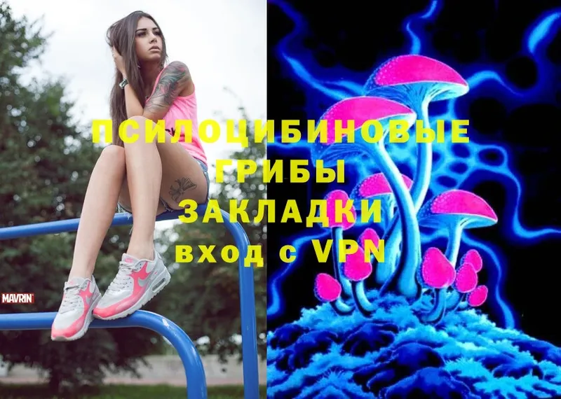 Галлюциногенные грибы Psilocybe  где можно купить   Старая Русса 